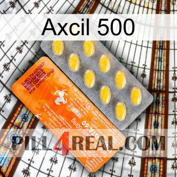 Axcil 500 new05.jpg